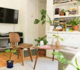 4 plantas a evitar en el hogar según el Feng Shui